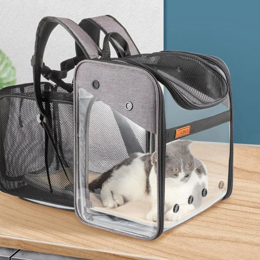 Expandable backpack with cat inside