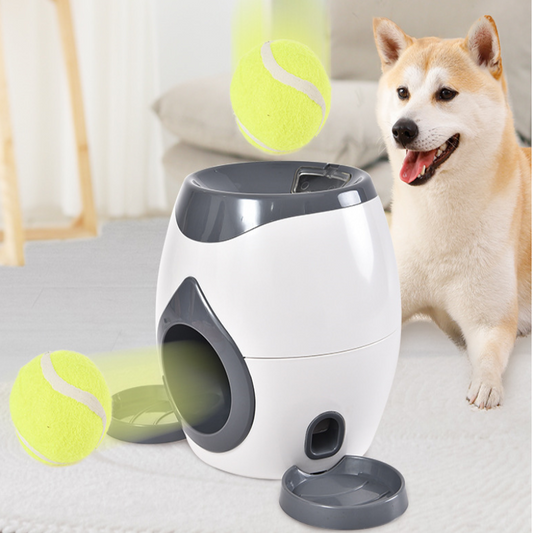 Smart feeder with dog shooting tennis balls