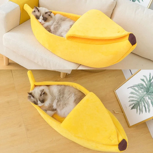 Cat in banana bed on couch and floor